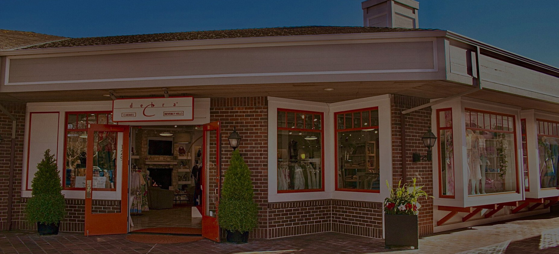 Debra C Main Banner